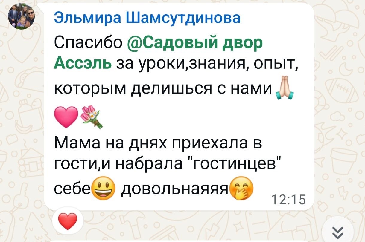Отзыв