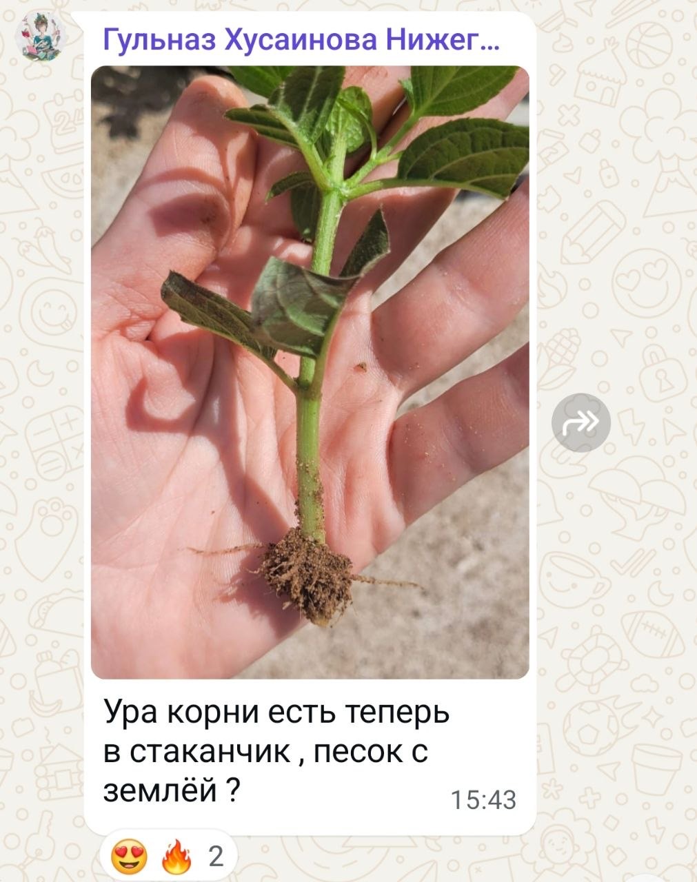 Отзыв