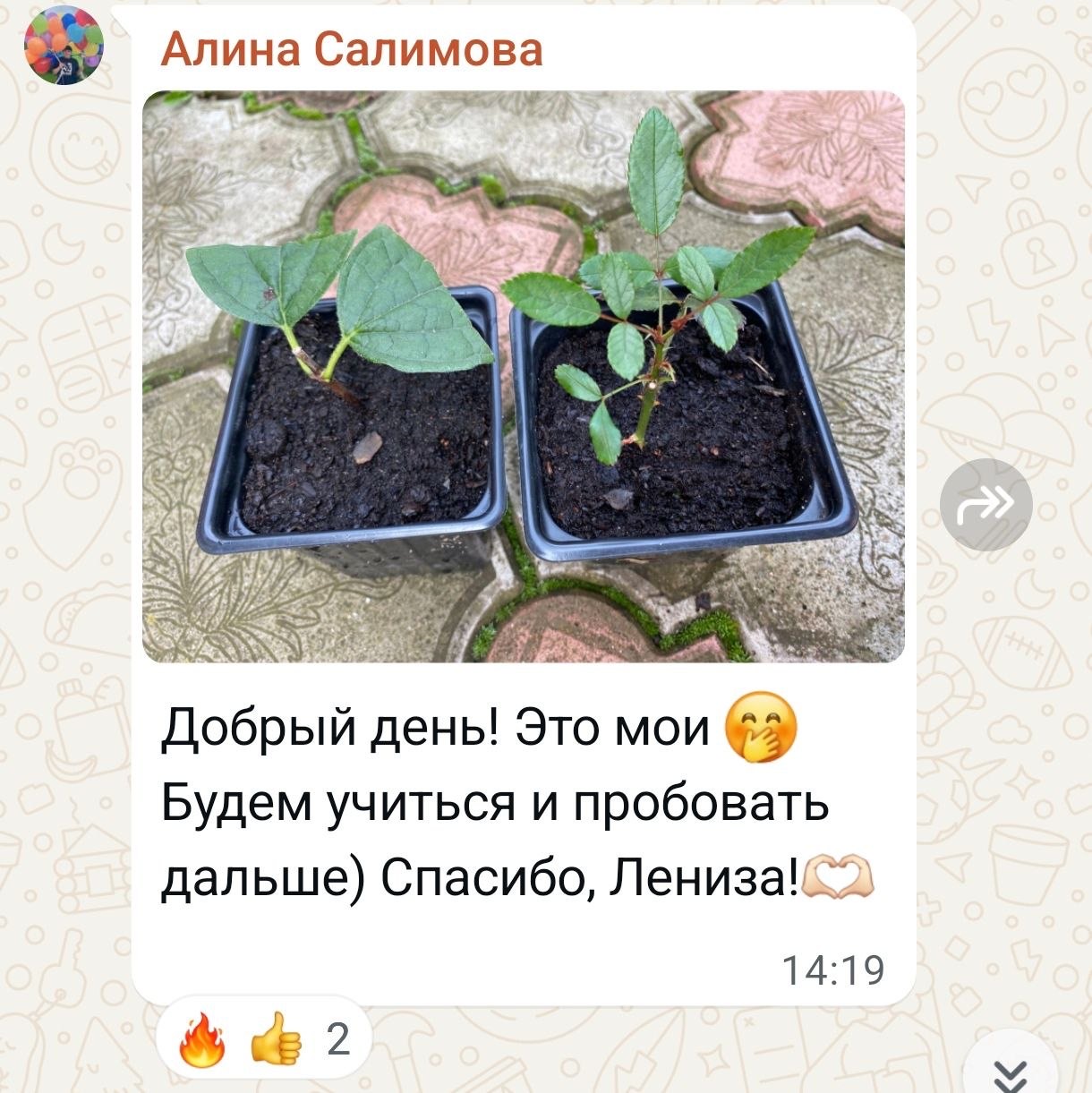 Отзыв