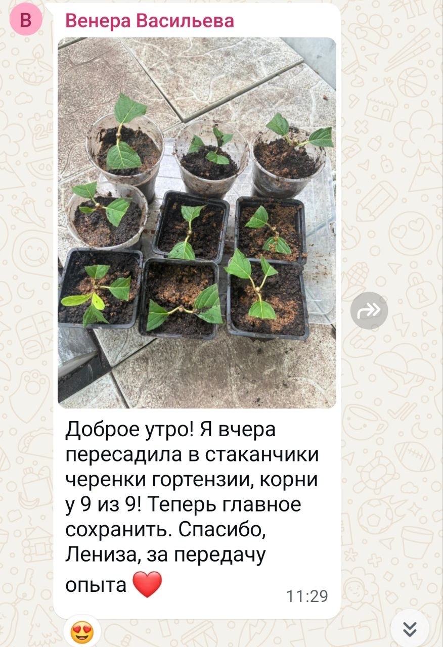 Отзыв